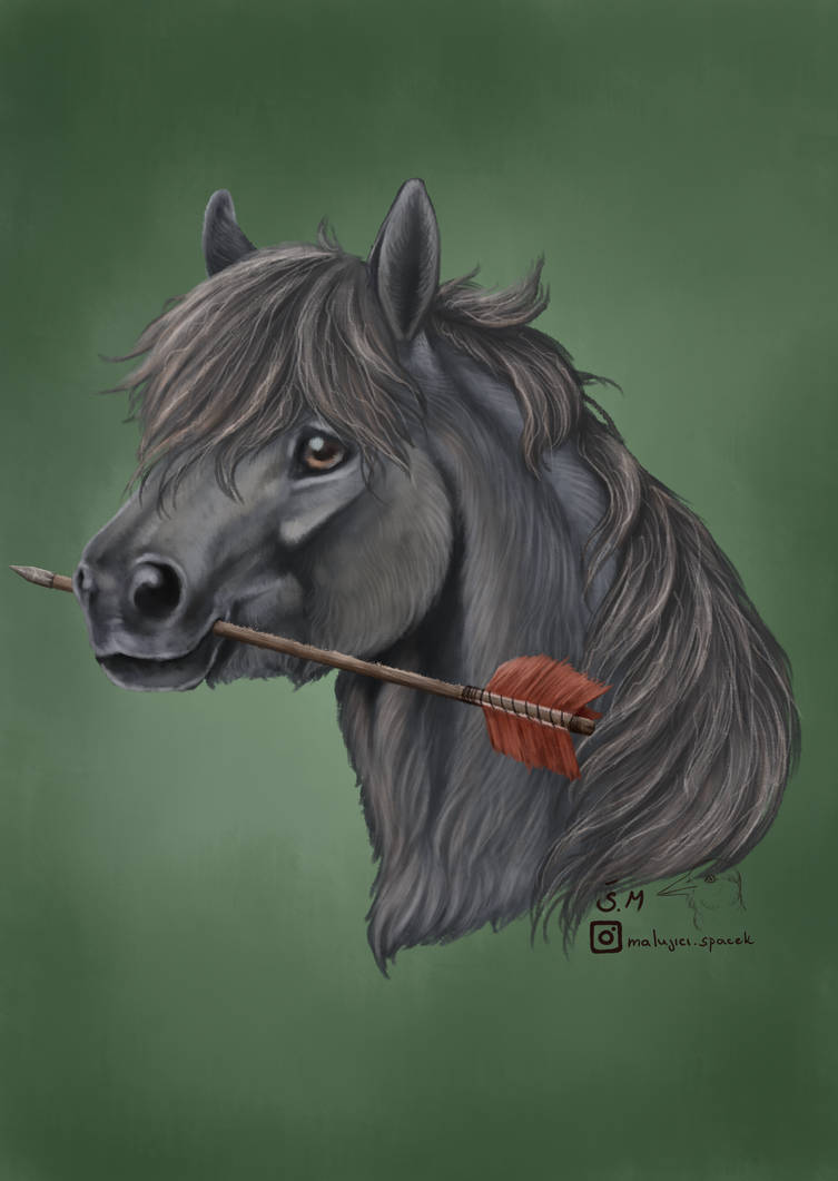 Tug - Ranger's Apprentice by spacek-mis on DeviantArt