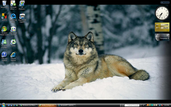 Wolf desktop