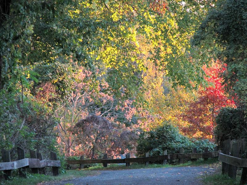 Sleepy Hollow Trail