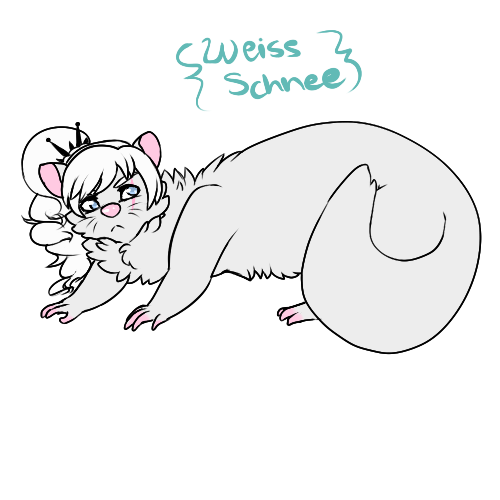 Rwby Dog: Weiss (ferret version)