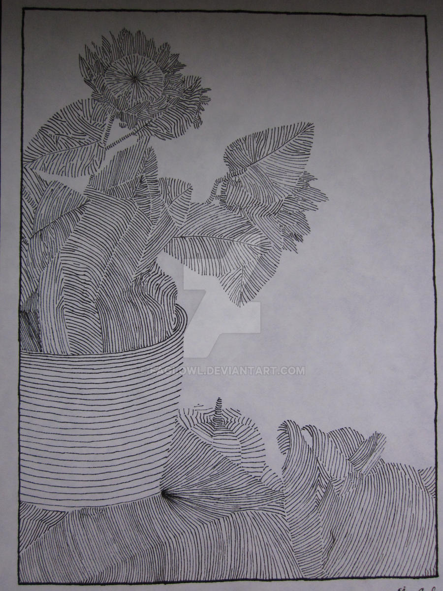 Still Life Using Line Still Life Line Drawing by eaglowl on DeviantArt