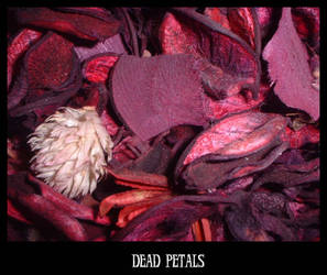 Dead Petals