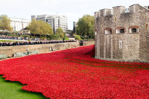 Blood Swept Lands and Seas of Red (1)