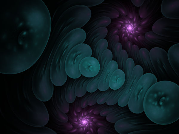 Fractal Universe VIII