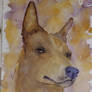 Morning Painting5