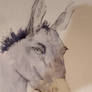 Afternoon Sketch 16