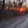The Road Home
