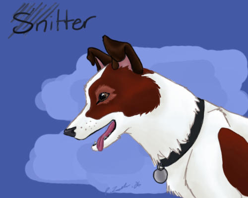 Snitter by Azerane on DeviantArt