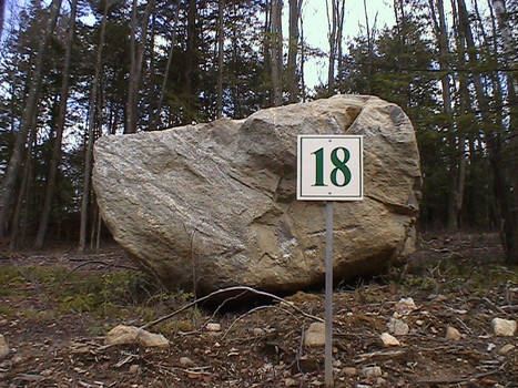 Number 18 - The Rock
