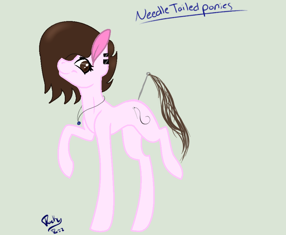Needle Tailed Ponies
