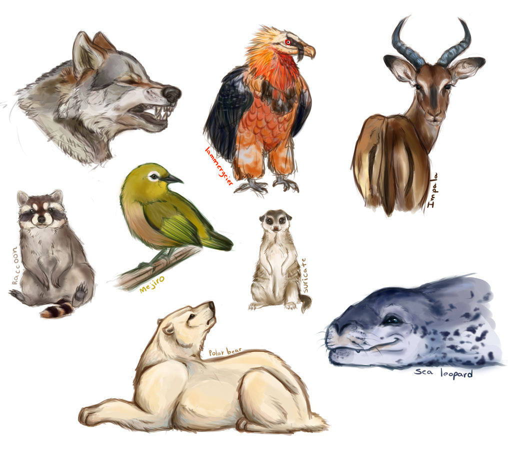 some animals...