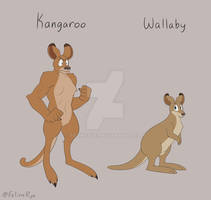 Kangaroo vs. Wallaby