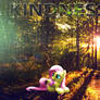 Kindness Wallpaper