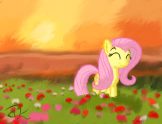 Field of Fluttershy by InternationalTCK