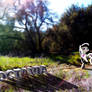Octavia Nature Wallpaper
