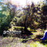 Soarin' Nature Wallpaper