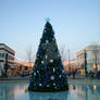 Easton Christmas Tree