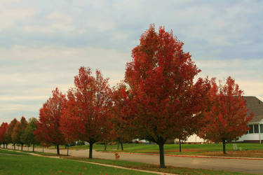 Autumn is Drawing Near