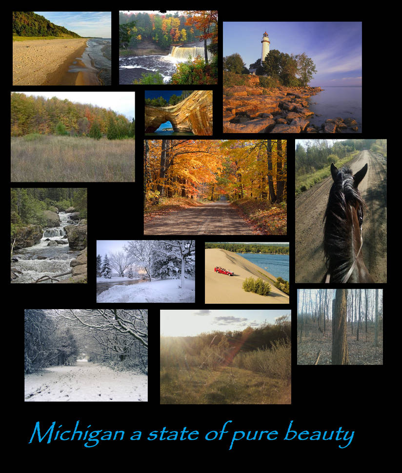 Michigan by ToxicDragonBlood on DeviantArt
