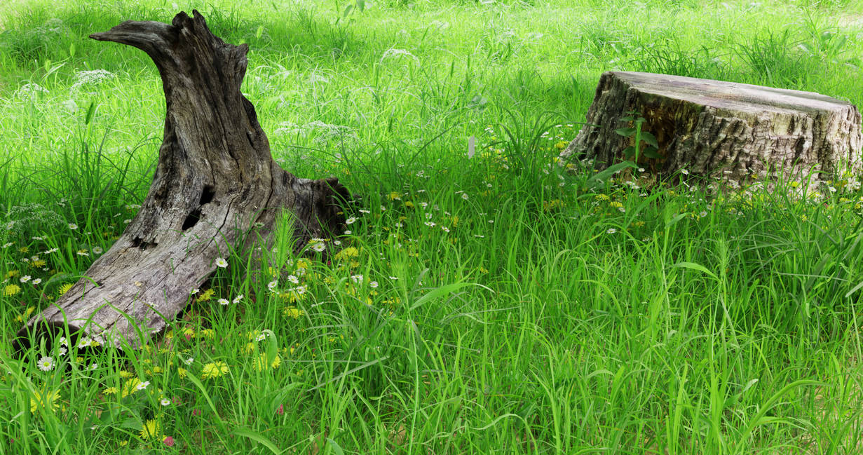 Log Render Photoshopped 1 by TRBrenders on DeviantArt