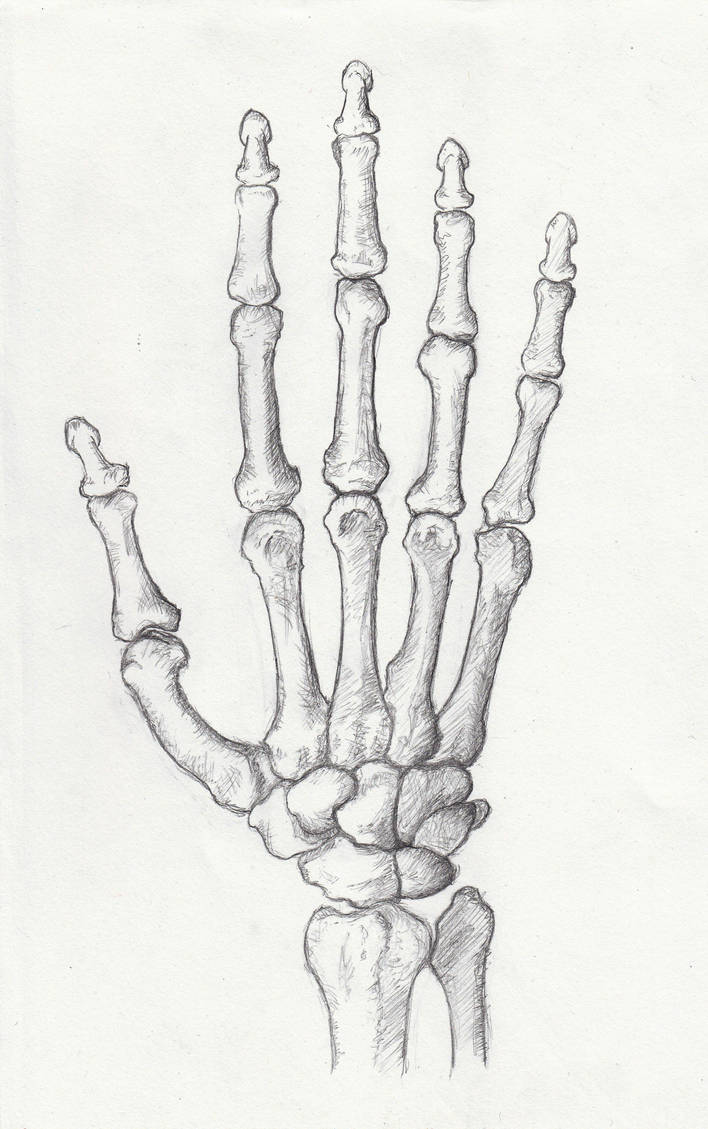 Bones in your Hand by Mavinci on DeviantArt