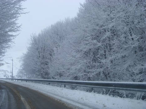 in the way to Brezovica