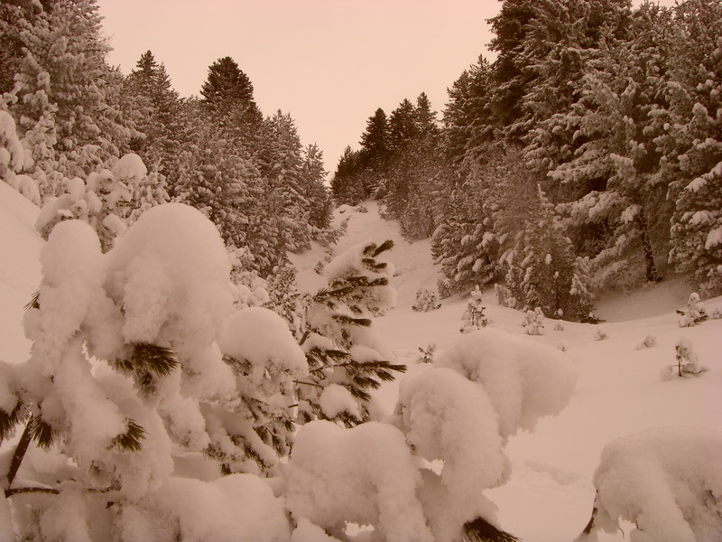 Snow in Brezovica