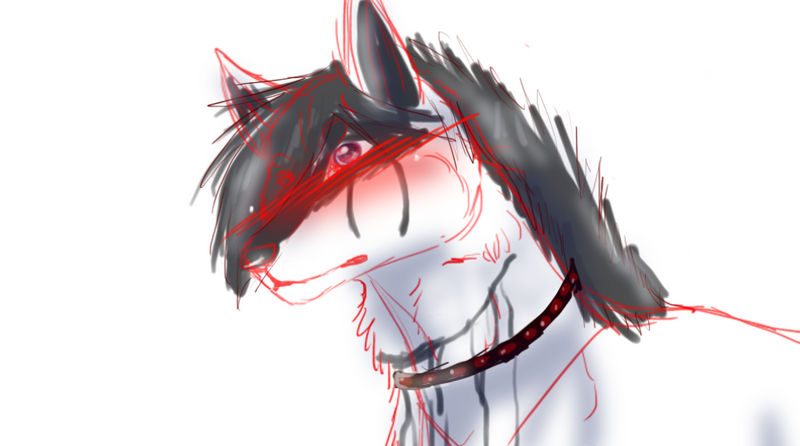 Just felt like drawing a cute anime boy wolf by SaruAto on DeviantArt