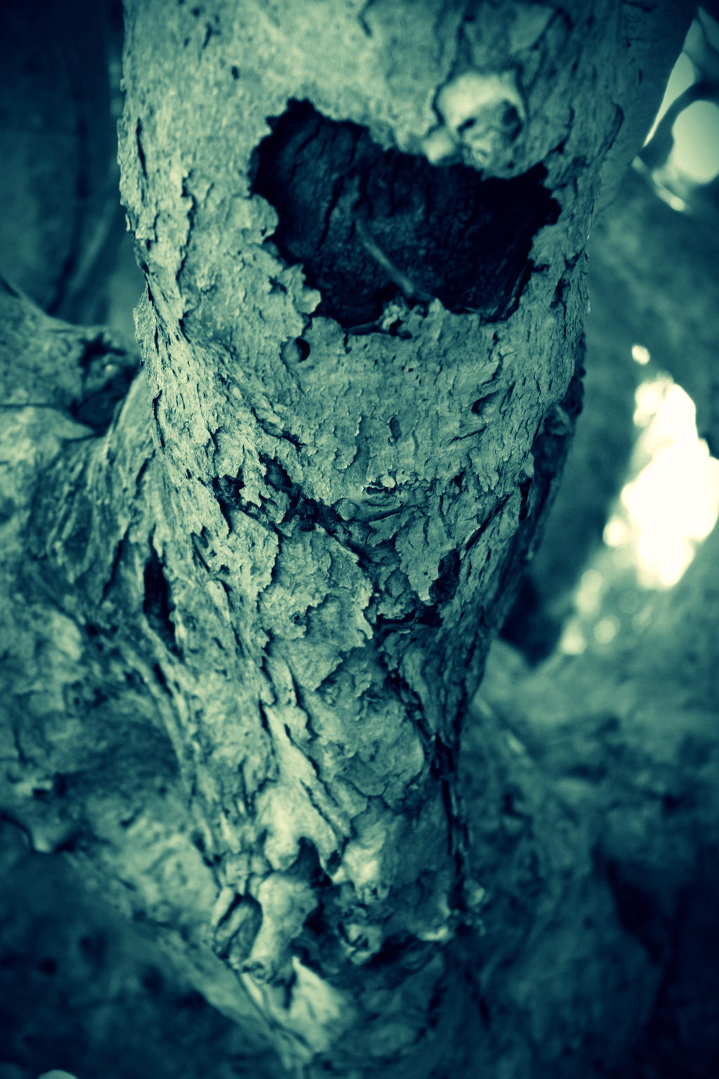 Textured Tree by mell96 on DeviantArt
