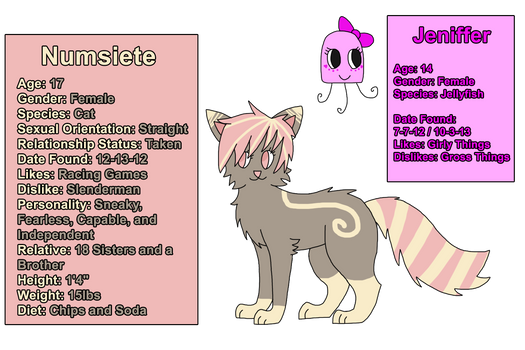 Numsiete and Jeniffer - Ref. Sheet