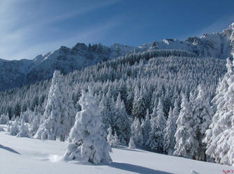 Romanian landscape