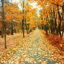 autumn path 2