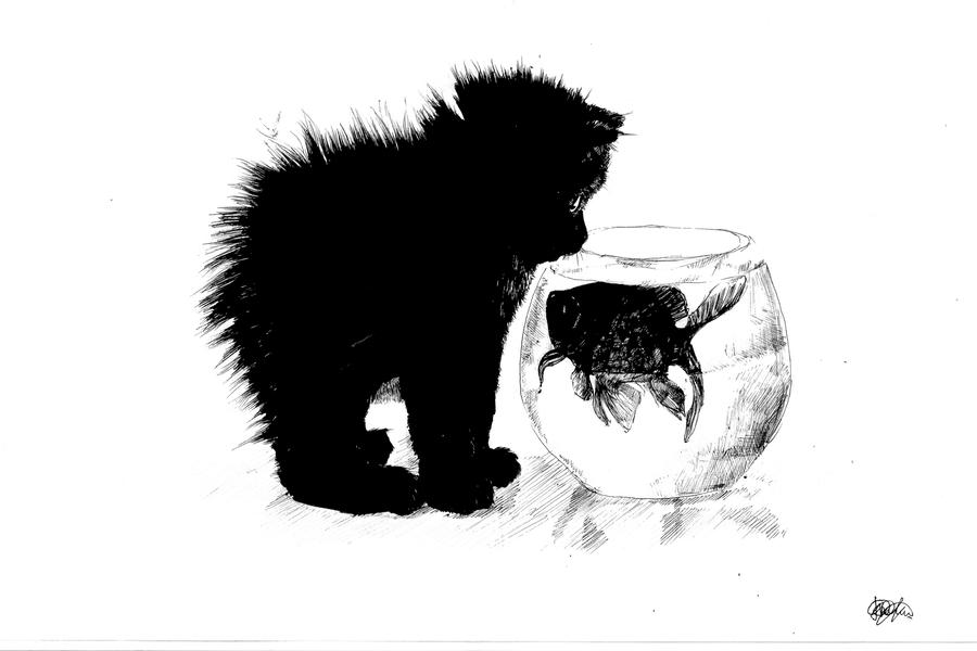 cat by Koshka-tanya cat by Koshka-tanya