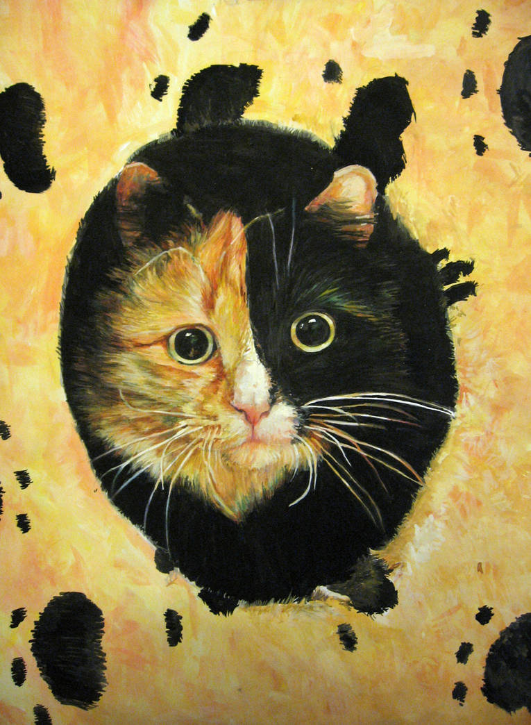 cat by Koshka-tanya cat by Koshka-tanya