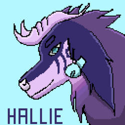 [AF] Hallie