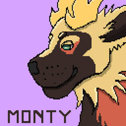 [AF] Monty