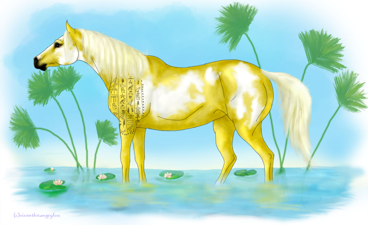 Egyptian Palomino