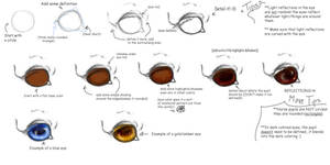 Horse Tutorial:Eye Basics