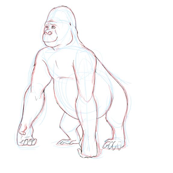 Gorilla Sketch