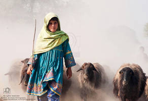 A Little Shepherd Girl