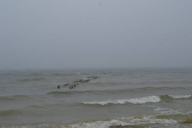 Fog and the sea