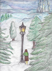 Narnia: the beginning of a journey