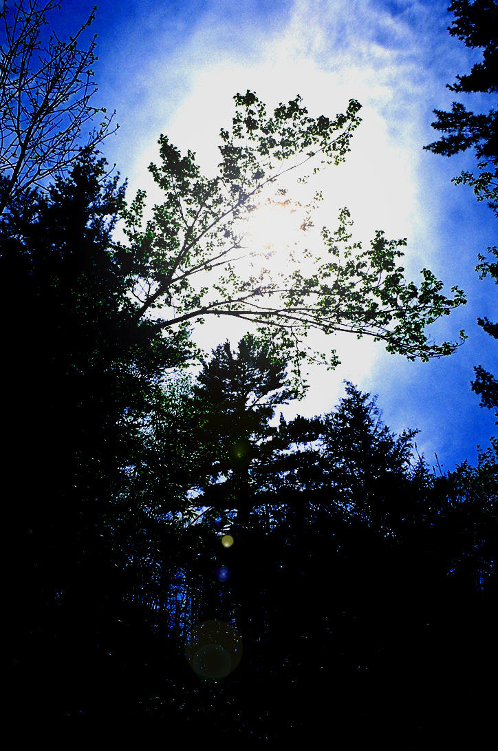 Big blue sky by silverwing77 on DeviantArt