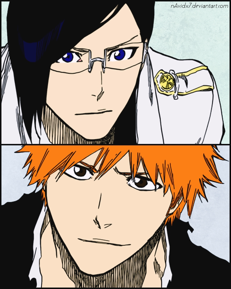 Ichigo and Uryu in Bleach 682