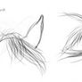 Sketches~ Horse Ear Study