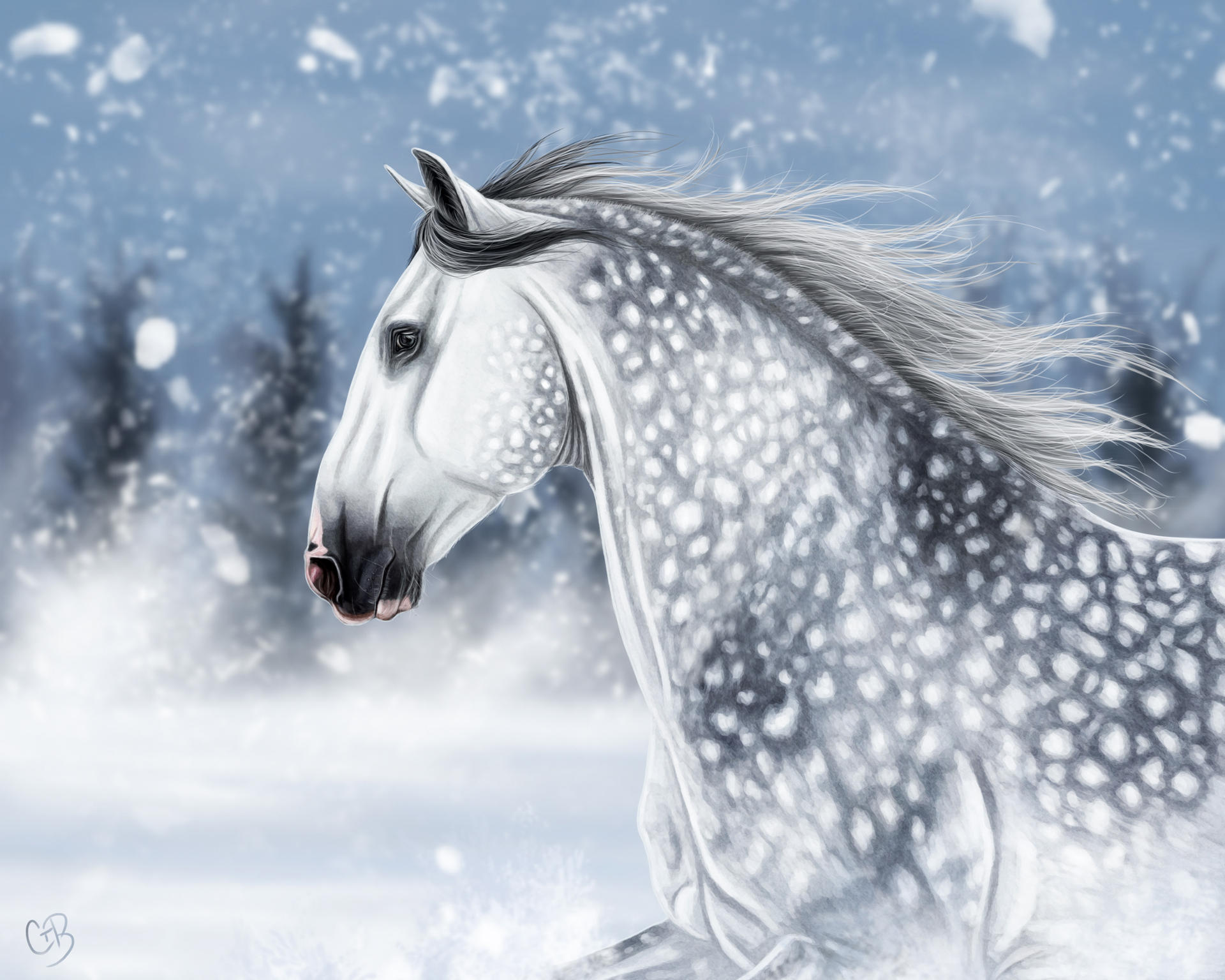 Dapple Grey Horse by Chellosia on DeviantArt