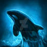 Moonlit Orca