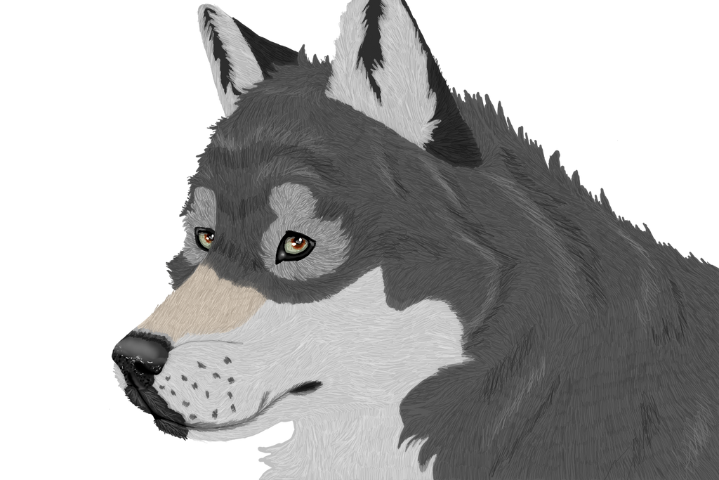 Wolf Art By SidneySpeedpaints On DeviantArt