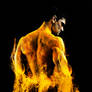 Man on Fire