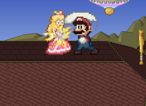 Mario Vs Peach